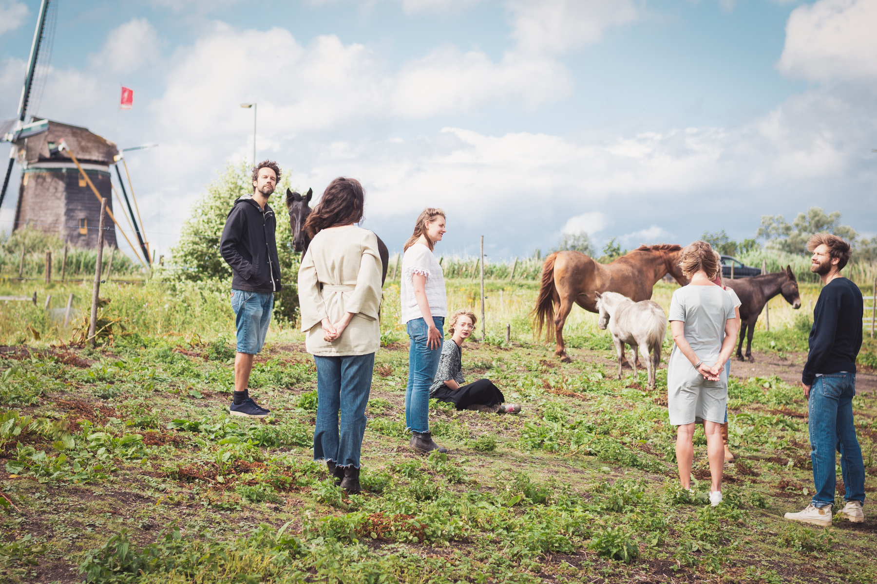 Familieopstelling met paarden