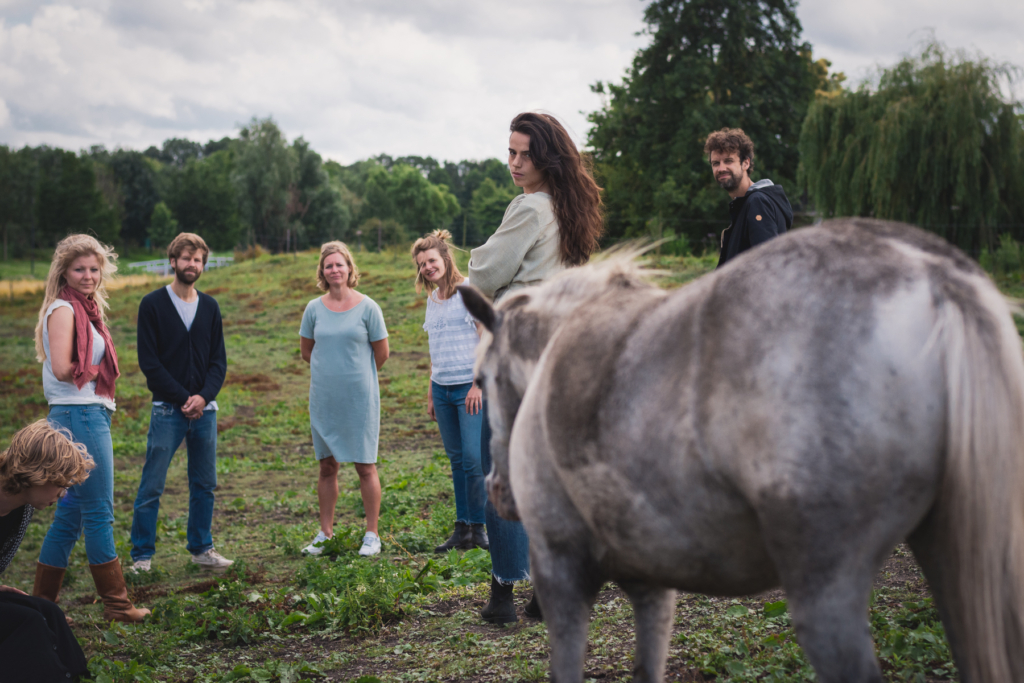 familieopstelling met paarden