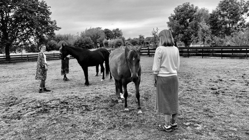 Opstelling met paarden