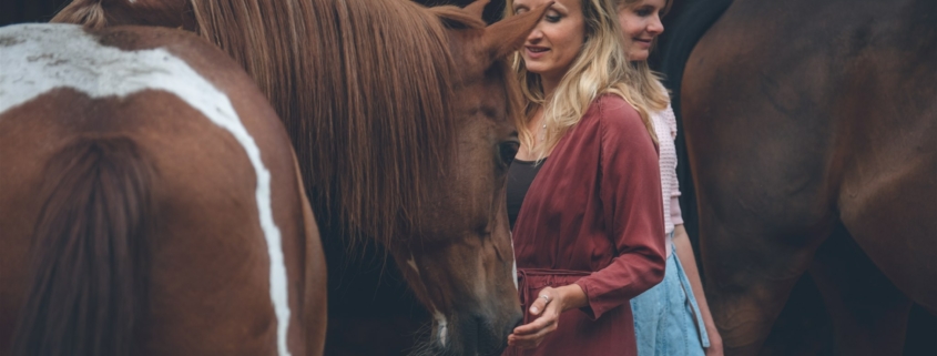 coaching met paarden arnhem