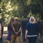 Opstelling met paarden