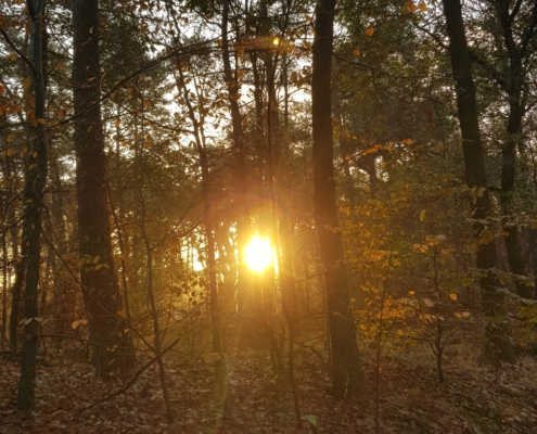 herfst
