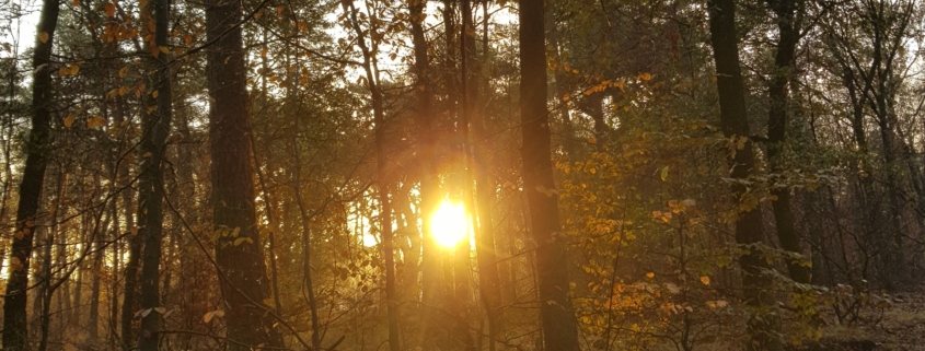 herfst