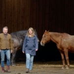 Boeddha in de polder