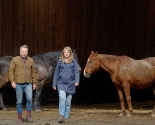 Boeddha in de polder